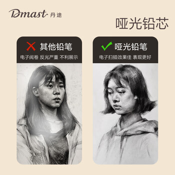 得力（deli）丹途哑光铅笔2B(10支/盒)专业绘画手绘素描彩绘软款画画RK2-2B女孩儿童