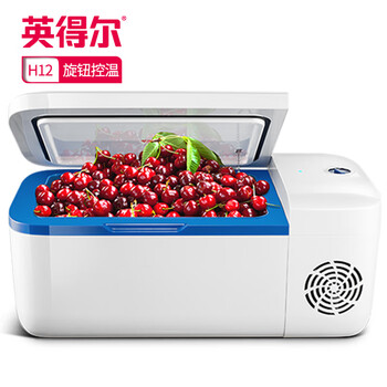 英得尔 车载冰箱可结冰冷冻冷藏车家两用便携迷你小冰箱 H12