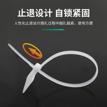 HAILE海乐标签扎带手写卡扣理线捆扎自锁式尼龙塑料束线带 桌面网线电话线缆20cm 100根 ZD-B20-100