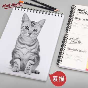 蒙玛特(Mont Marte)a3素描本30张 素描纸加厚速写本儿童画纸手绘本写生画本 速写纸学生绘画本涂鸦本MSB0118美术写生