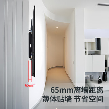 LUCKPRO 显示器壁挂支架 电脑显示器支架壁挂 电脑支架 显示器墙壁支架 台式挂墙壁支架DH500-01