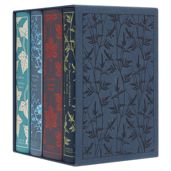 勃朗特姐妹经典作品4册精装 英文原版 The Bronte Sisters Boxed Set