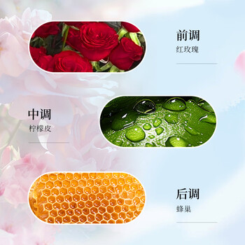 崇揚日本进口内衣内裤洗衣液500ml  去血渍99% 抗菌  清洁爽洁   