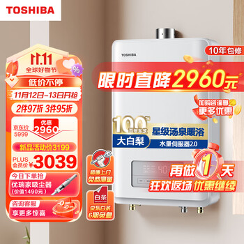 东芝（TOSHIBA）16升燃气热水器 天然气水伺服 3D恒温 进口CPU 下置风机  多重安防 大白梨TL8