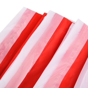 递乐 60*90cm小号红色刀旗活动彩旗摇旗红旗帜 10面/包 5324 递乐 60*90cm小号红色刀旗活动彩旗摇旗红旗帜 10面/包 5324