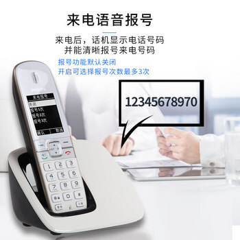 飞利浦（PHILIPS）无绳电话机 无线座机 单头机 办公家用 黑名单 来电报号/电话簿/反色屏幕 DCTG4901 黑色