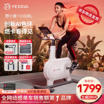 野小兽(YESOUL)自发电动感单车家用静音100档智能磁控调阻健身车运动减肥器材M2 【自发电版】+2.5倍燃脂直播课