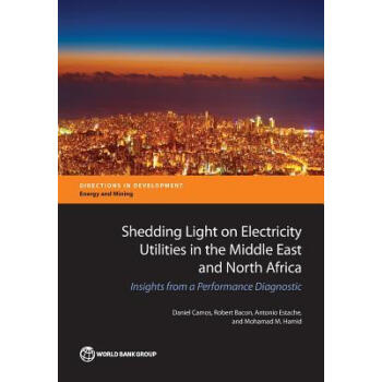 Shedding Light on Electricity Utilities in the azw3格式下载