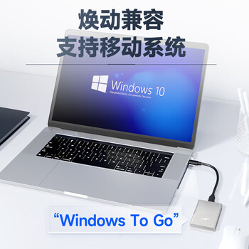 梵想（FANXIANG）500GB 移动固态硬盘（PSSD）移动ssd Type-c 苹果手机iphone16 Promax直连 电脑外接硬盘 PS2000银