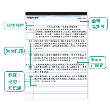 凯萨(KAISA) 美式A4/40张双孔拍纸本两孔白色横线笔记本2孔易撕记事本 5本装