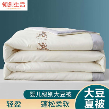 文枝夏季大豆纤维空调被春秋被子夏凉被单人夏天可机洗薄夏被jm刺绣