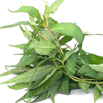 禧利郎香柳叶辣柳香辣柳傣味叻沙叶拉莎叶香蓼辣蓼草火锅配菜 1000g