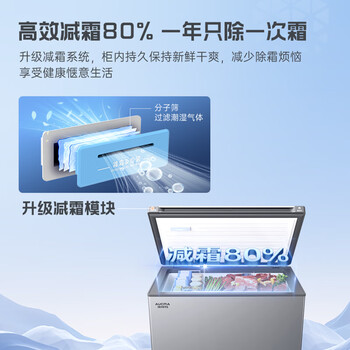 澳柯玛(AUCMA)100升低霜平嵌家用冰柜冷藏柜冷冻柜 无界单温冷柜 一级能效 天际线 BC/BD-100HSNE 澳柯玛(AUCMA)100升低霜平嵌家用冰柜冷藏柜冷冻柜 无界单温冷柜 一级能效 天际线 BC/BD-100HSNE