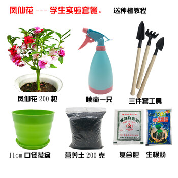 凤仙花种子盆栽指甲花种子室内外易活四季开花非洲凤仙花种孑脆慕单瓣凤仙花学生套餐 图片价格品牌报价 京东 凤仙花种子盆栽指甲花种子室内外易活四季开花非洲凤仙花种孑脆慕单瓣凤仙花学生套餐 图片价格品牌报价 京东