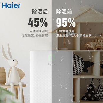 与其他品牌相比，海尔CF20-PJ1除湿机有何优势怎么样突出？