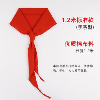 得印小学生红领巾 少先队员标准款1.2米红领巾开学必备 成人儿童节日活动红领巾 学生用品 10条装0784 得印小学生红领巾 少先队员标准款1.2米红领巾开学必备 成人儿童节日活动红领巾 学生用品 10条装0784