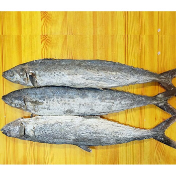 梦信梅香咸鱼广东特产梅香马鲛咸鱼霉香马交咸鱼茄瓜煲 500gq 整条