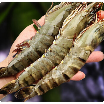 黑虎虾新鲜大虾老虎虾虎虾基围虾斑节虾海鲜竹九节虾 1200g 12-14cm
