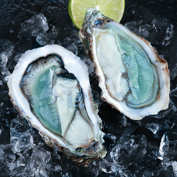 法国生蚝绿翡翠生蚝n1n212只原装进口鲜活即食刺身非吉拉多套餐一xxl