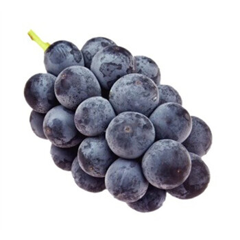 源外园新疆夏黑葡萄小粒散养 葡萄孕妇新鲜水果小颗粒 葡萄 3斤