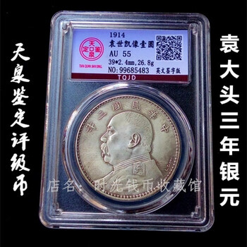 袁大头纪念币袁大头银铁质银收藏袁大头十年八年五年: Amazon.ca