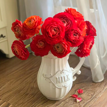 oimg洋牡丹新鲜洋牡丹鲜花家用插花鲜花牡丹花鲜切花直发 红色洋牡丹8