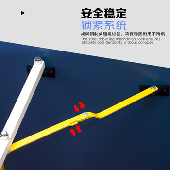 新动力家庭迷你乒乓球桌小学生适用家用方便折叠mini球桌T1890蓝色+网架 新动力家庭迷你乒乓球桌小学生适用家用方便折叠mini球桌T1890蓝色+网架