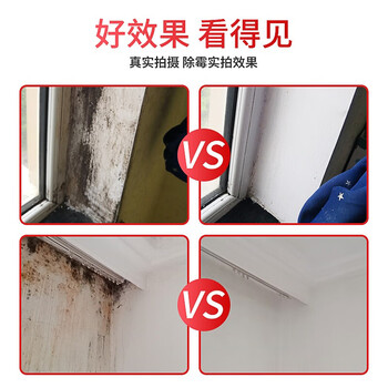 膜太（MOOTAA）进口墙面除霉剂去霉菌霉斑霉点发霉清除家用墙壁去霉神器550ml*1