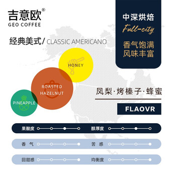 吉意欧GEO醇品经典美式咖啡豆500g阿拉比卡豆中深烘美式醇香黑咖啡 