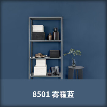 真时丽内墙乳胶漆室内家用彩色墙面漆环保自刷白色油漆涂料 雾霾蓝 1l