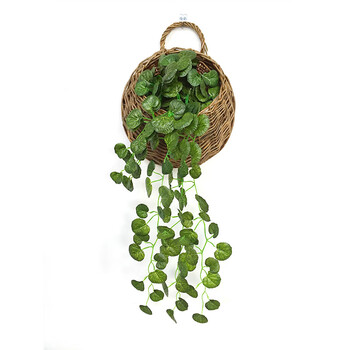 壁挂墙面装饰品墙上挂饰墙壁创意立体仿真植物墙饰挂件绿萝藤条花