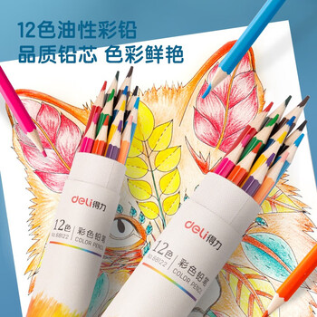 得力(deli)12色纸筒彩铅彩色铅笔手绘涂色专业美术生绘画笔套装（附带卷笔刀）女孩儿童礼物速写彩笔