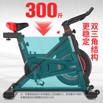 多德士(DDS) 动感单车家用锻炼健身车室内运动自行车健身器材 DDS9320 多德士(DDS) 动感单车家用锻炼健身车室内运动自行车健身器材 DDS9320