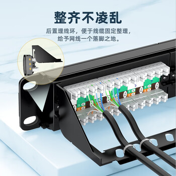 山泽六类配线架24口 CAT6类千兆网络配线架 工程级1U机架式机柜配线架 镀金版BL6-24