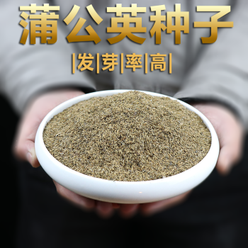 鳳鳴雅世 野菜種子大全 野生薺薺菜種籽菜籽蒲公英苦麻菜苦丁菜種子