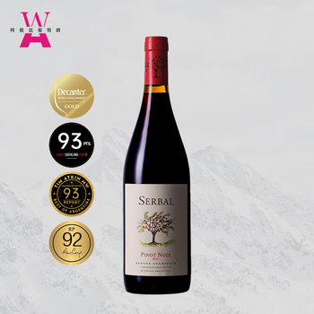 阿根廷门多萨赛尔巴黑皮诺pinotnoir干红葡萄酒干型