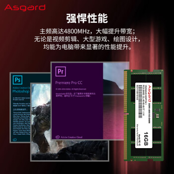 阿斯加特（Asgard）16GB DDR5 4800 笔记本内存条