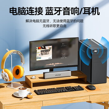 山泽 USB蓝牙适配器5.3发射器 蓝牙音频接收器 适用台式机电脑蓝牙模块键盘鼠标无线耳机音响免驱BT53B