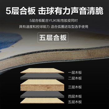 蝴蝶（BUTTERFLY）四星级乒乓球拍横拍双面反胶乒乓拍单只402含拍包