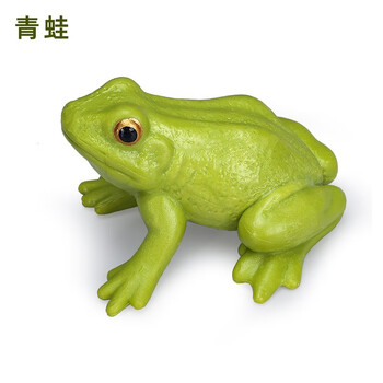 蛤蟆玩具品牌及商品- 京东