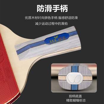 蝴蝶（Butterfly）四星级乒乓球拍直拍 双面反胶皮5层合板底板兵拍单只402 内附拍套