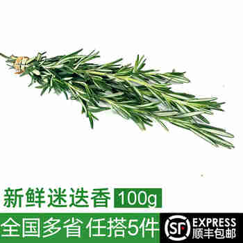 绿食者 新鲜迷迭香100g 迷失香草食用牛排调料西餐烧烤香料 100g