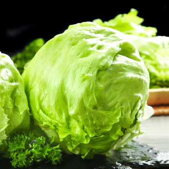 青樱红荔寻味君 球生菜新鲜圆生菜西生菜 西餐沙拉蔬菜 3斤