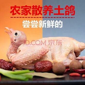 果亦橙 老鸽子农家散养土鸽子柴鸽肉现杀新鲜鸽子肉鸽乳鸽 3年老鸽 3