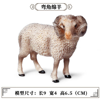 Oenux仿真羊玩具羊驼骆驼玩偶儿童模型摆件实心手办公仔绵山羚羊工艺品 M-225弯角绵羊