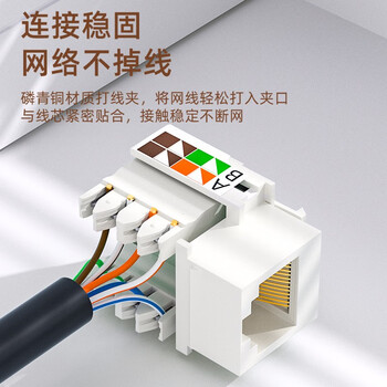 山泽超五类网络模块 CAT5e网线插座面板模块 RJ45水晶头母座电脑网线连接头直通头 WAN-04 山泽超五类网络模块 CAT5e网线插座面板模块 RJ45水晶头母座电脑网线连接头直通头 WAN-04