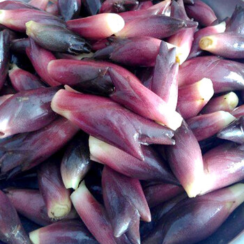 洋火姜阳荷姜5斤云南新鲜洋火野菜阳藿阳和姜蘘荷姜笋洋荷蔬菜250g