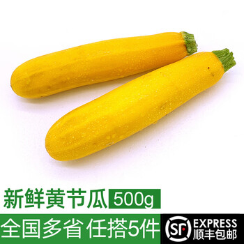 茄瓜 自然之星茄瓜价格报价行情- 京东