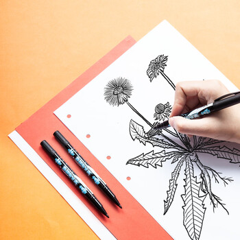 马培德Maped 双头记号笔黑色 美术勾线笔小学生儿童油性防水大小双头粗细描边手抄报手账标记笔746610CH