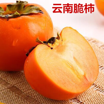 灵影柿子树苗嫁接甜柿苗即摘即吃脆柿子苗硬柿子树苗盆栽柿树苗庭院地栽南方北方种植果树苗云南脆柿